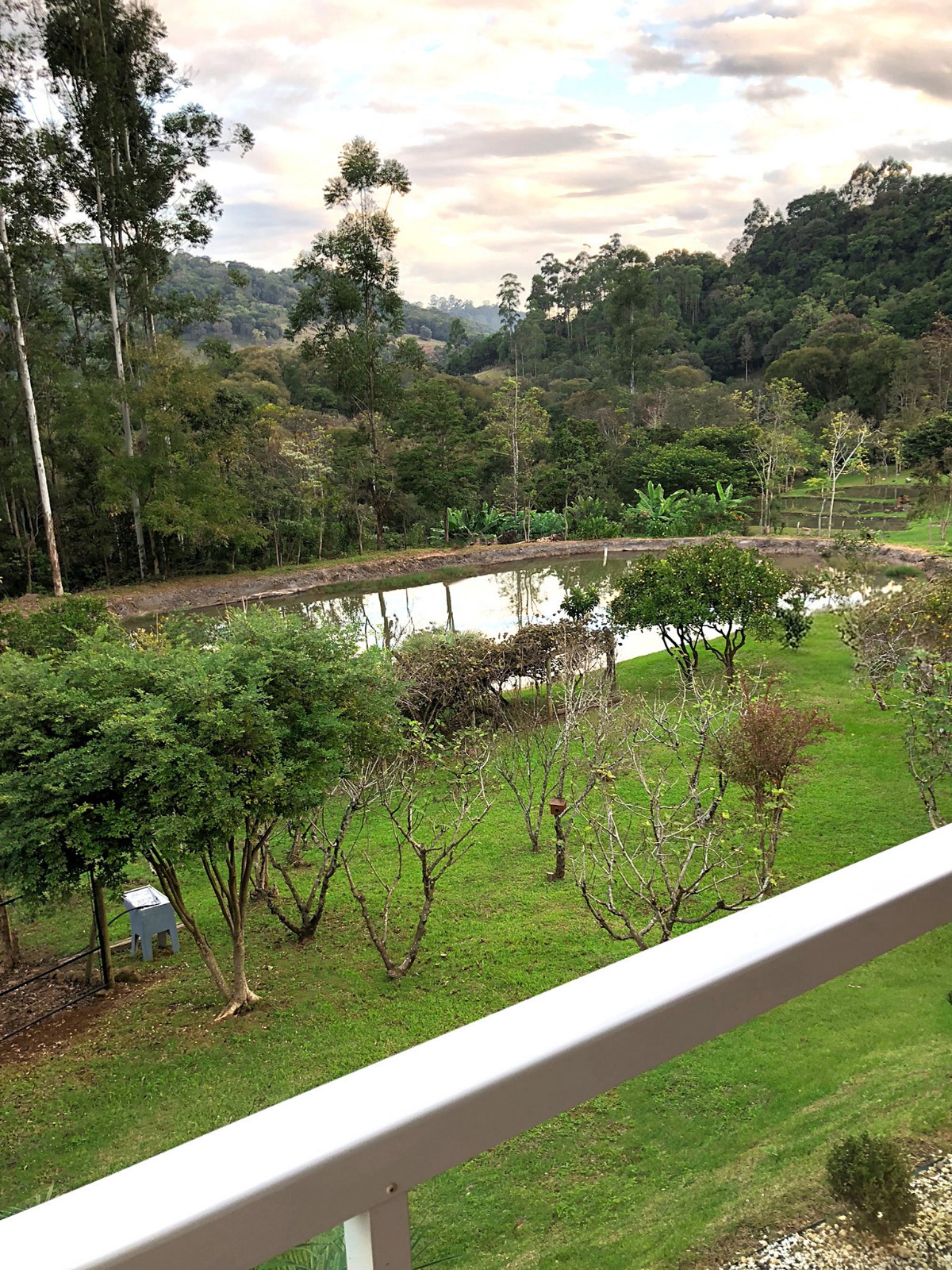 Vista do açude e mata