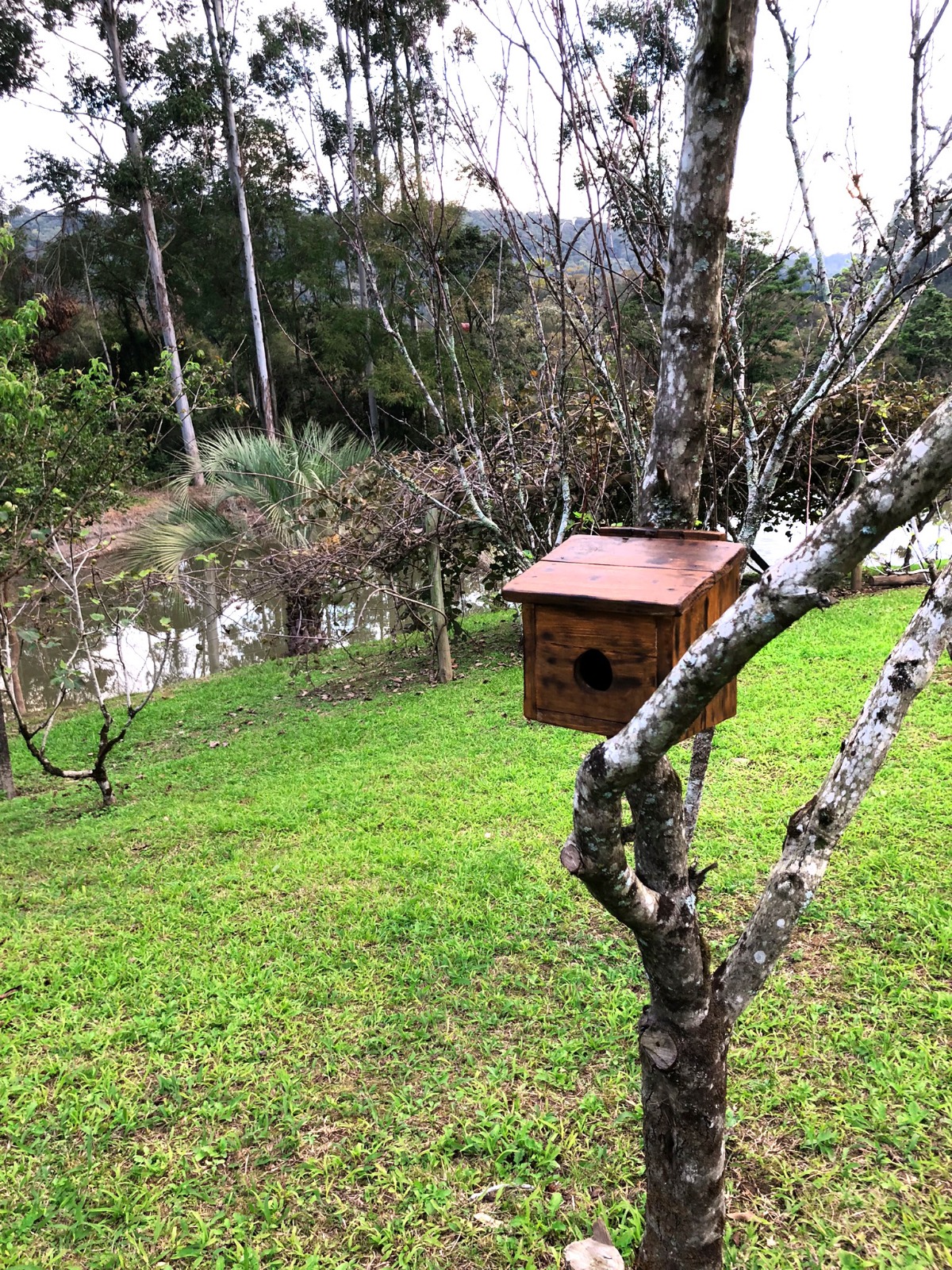 Casa de passarinhos junto ao açude